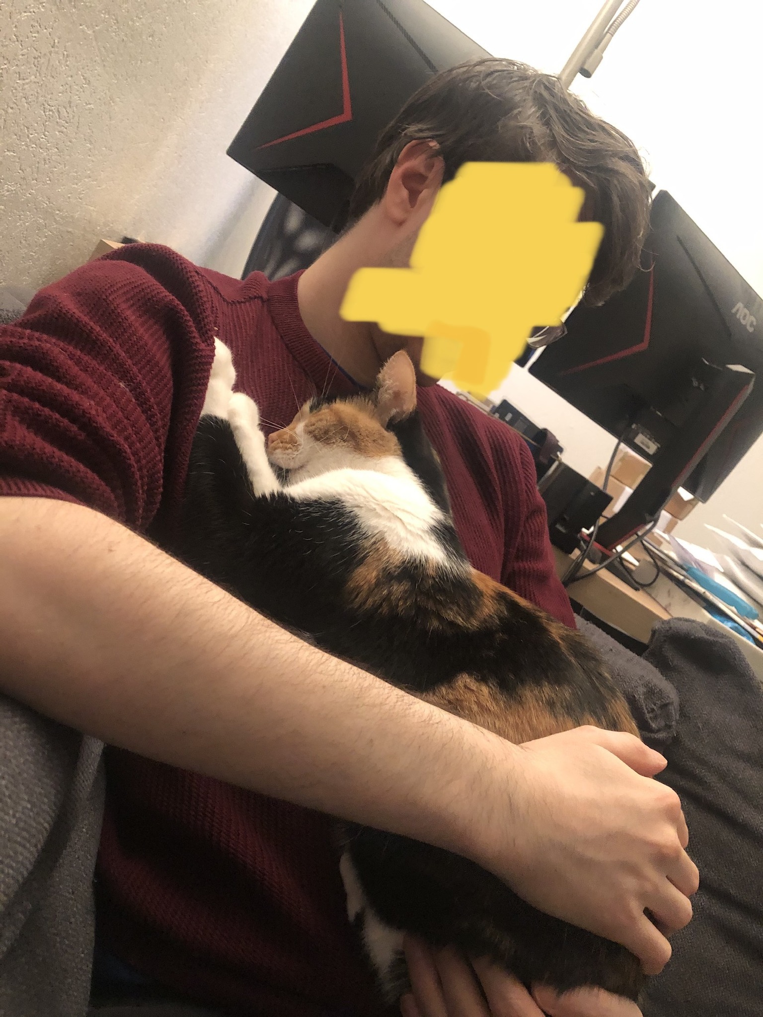 336872139_196895583051016_7887802157592451078_n