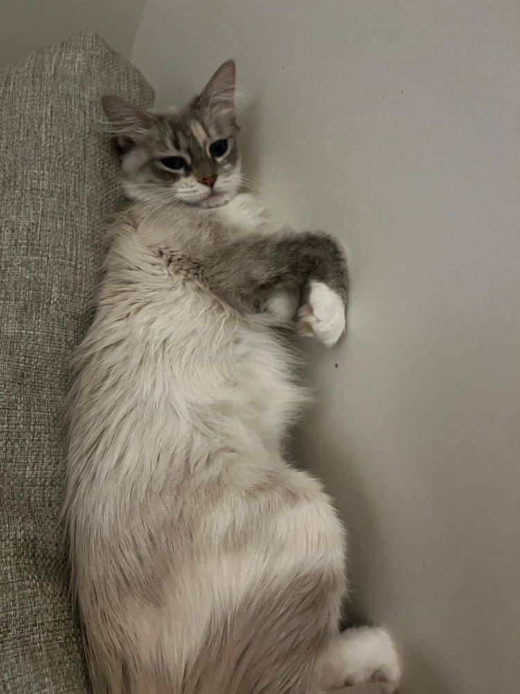 337346667_763810612029599_6042043440789599679_n