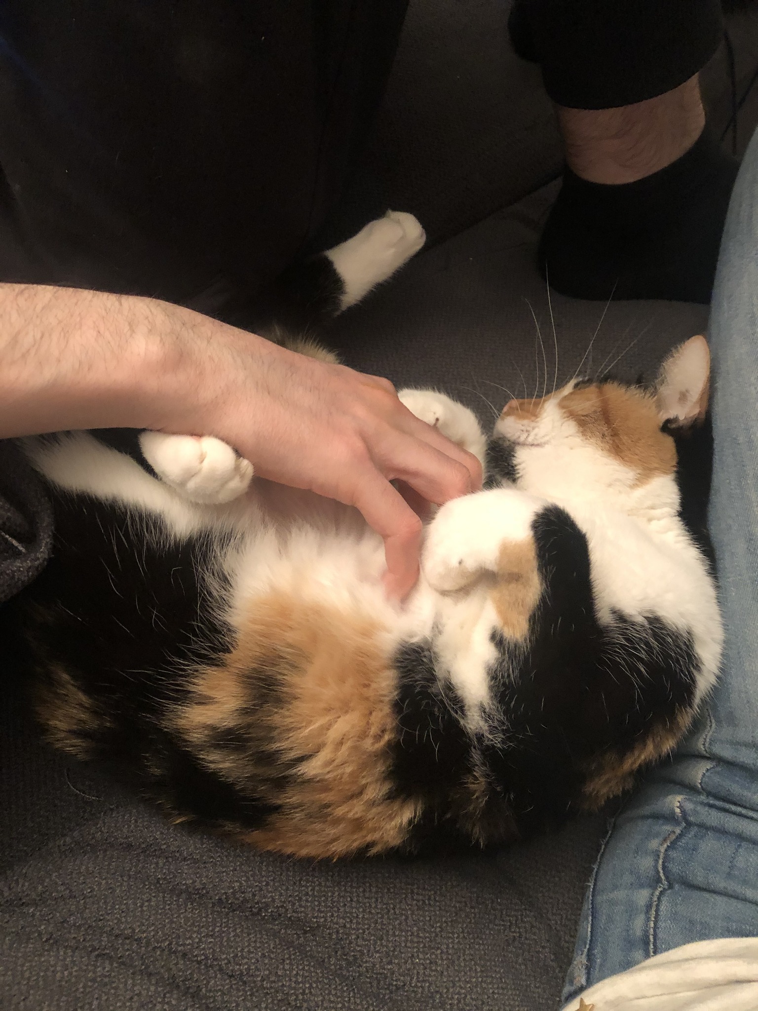 337497812_749597806553199_8250375439877741150_n-1