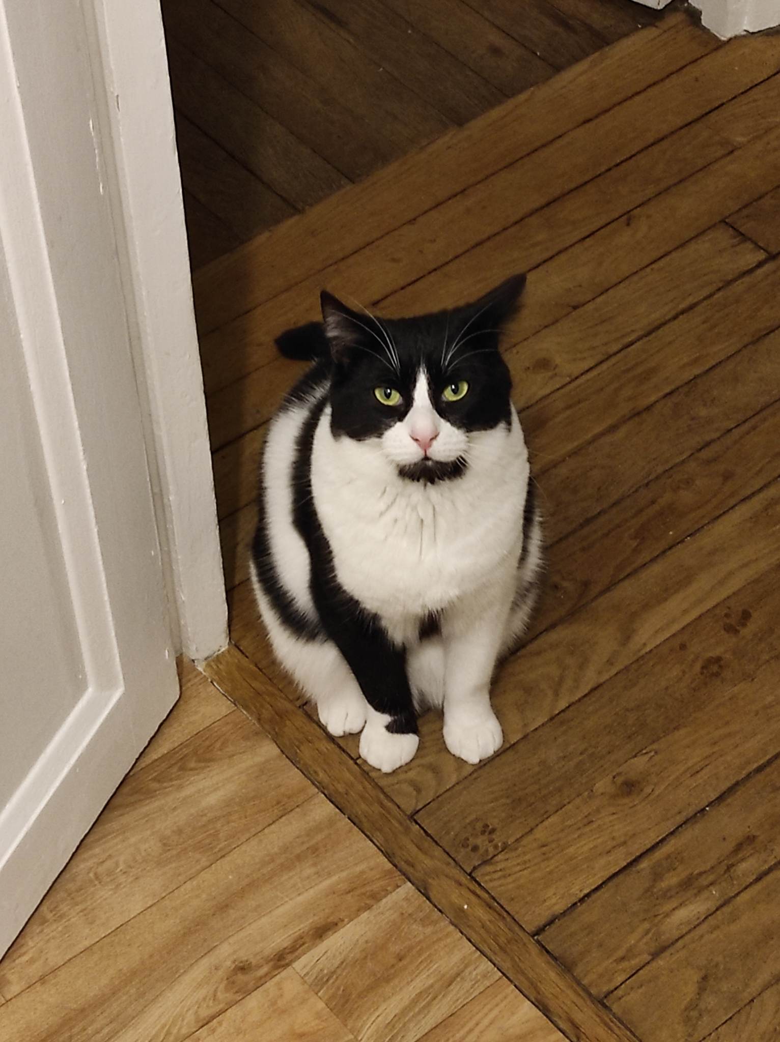 337505138_663209529145935_8013399436647384501_n