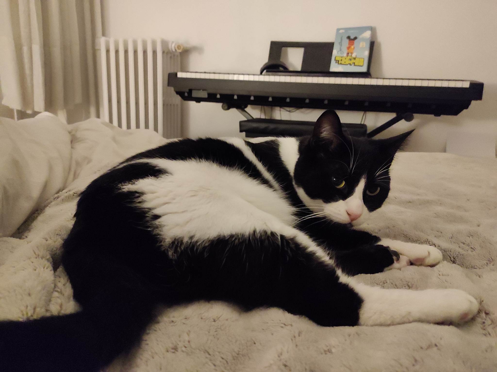 337520335_234320642345162_7463380311754199755_n-1