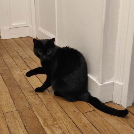 Photo de Lili et Pandus