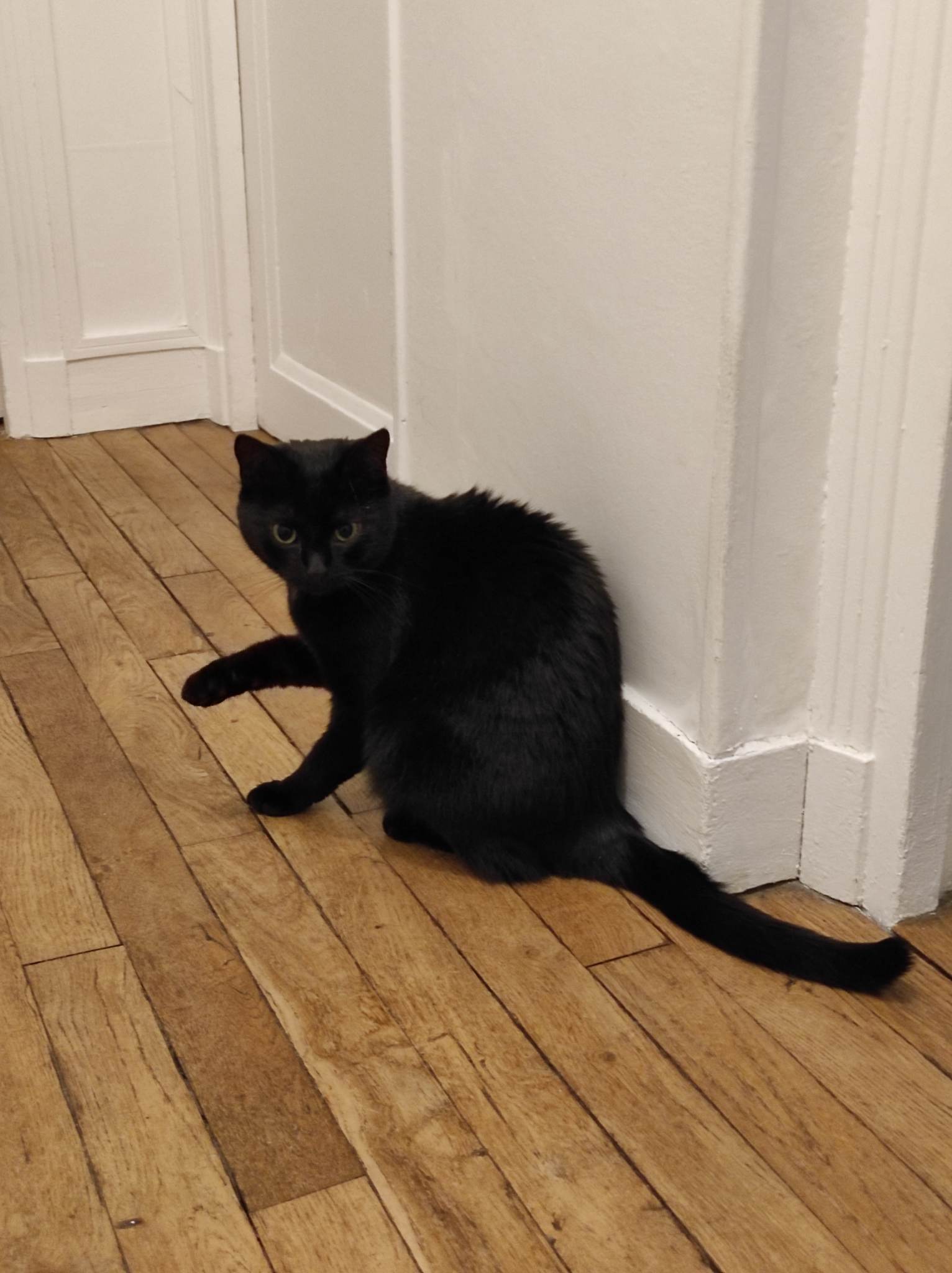 337547701_942468743444244_8079762422174979527_n