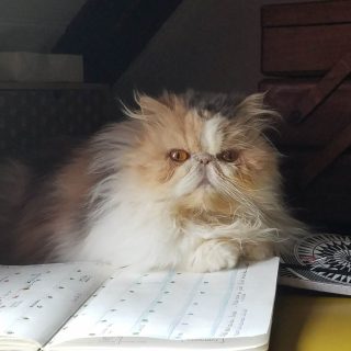 Photo de Ritournelle