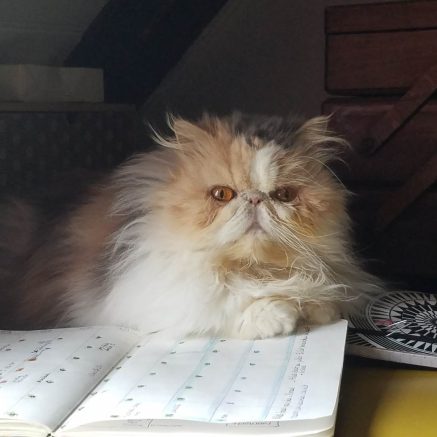 Photo de Ritournelle