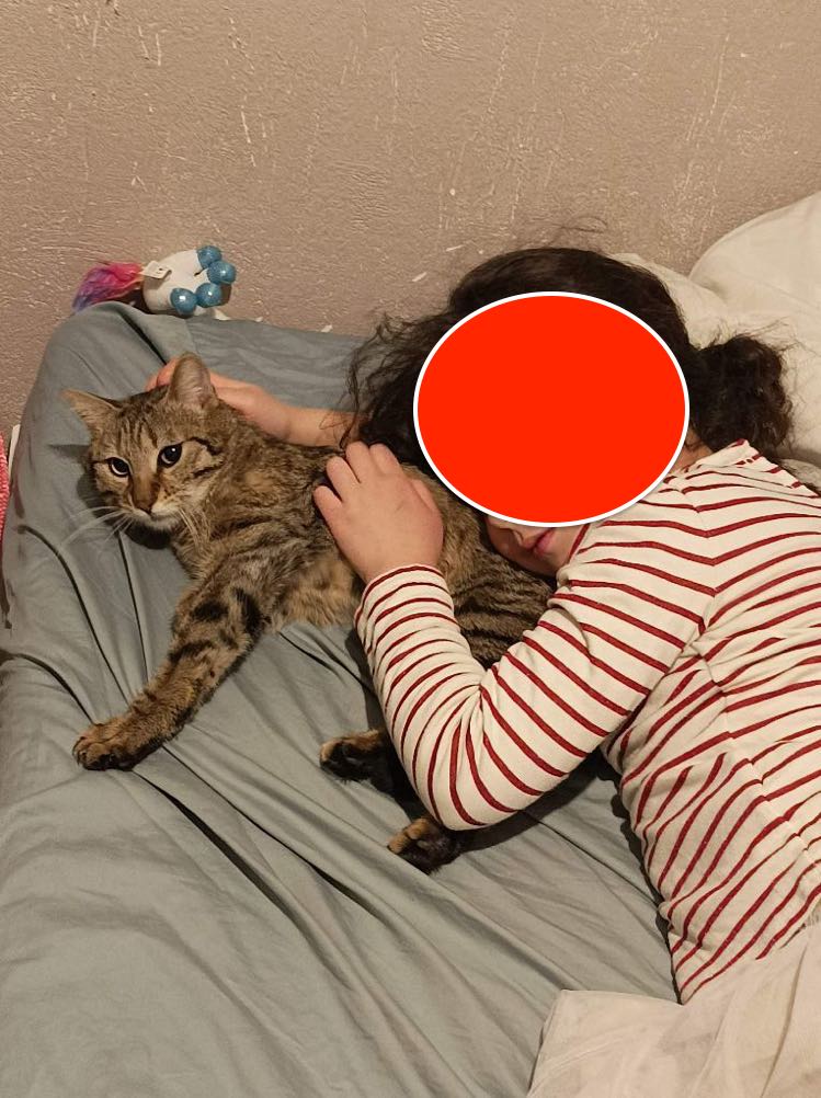 338996380_218451884130718_2598383862646985925_n-1