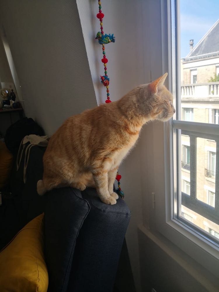 339126801_578859467585854_6799991240487001695_n