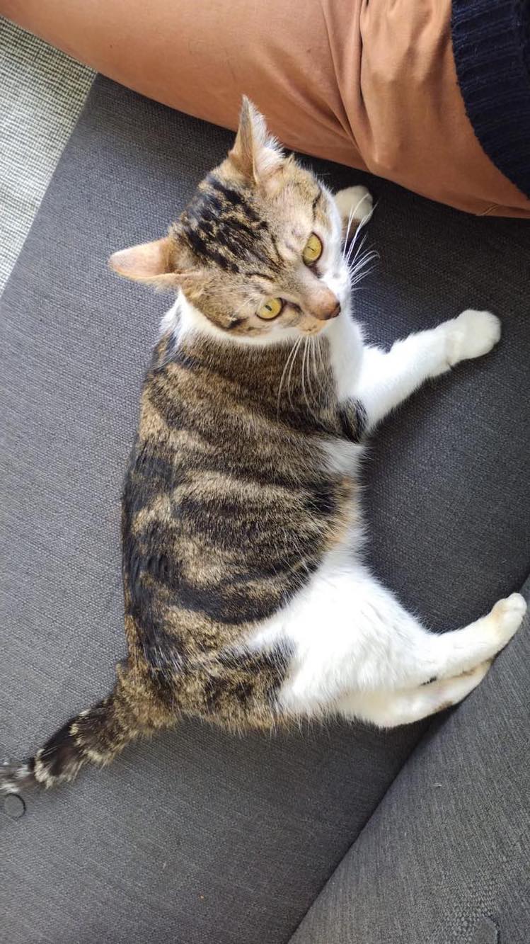 339128301_1410999413064911_420341680683515667_n