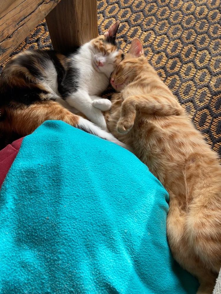 339134584_126406223680322_9206371723695824714_n