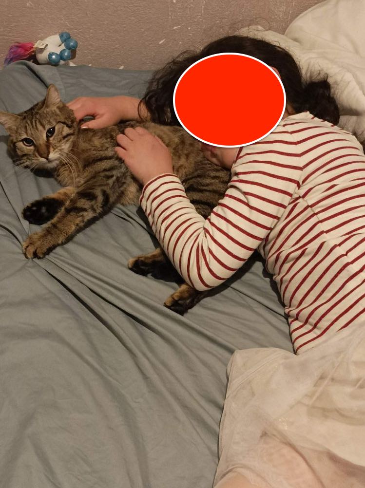 339151856_908698603730192_6080094575876125753_n