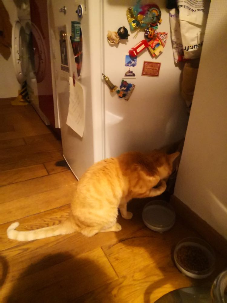 339255553_178745941657783_2409677468959255202_n