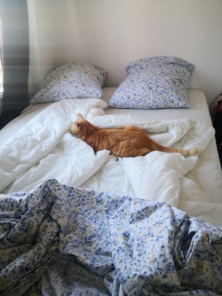 339321732_617553123233937_8975698781261471119_n