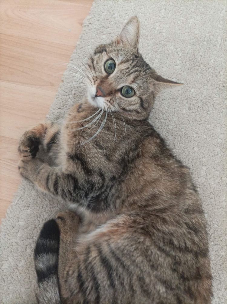 339469135_903456157548433_5407069960287086878_n