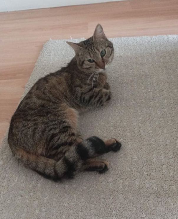 339476697_597450752417891_3929020968281621714_n