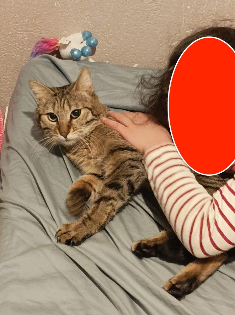 339694346_940324047098604_2451420718936970116_n