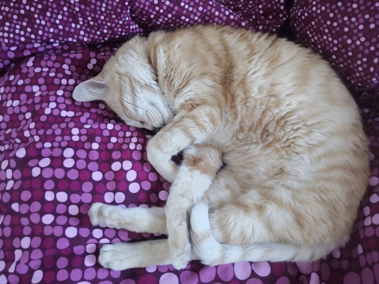 339779557_151724601178215_2998134401216152929_n