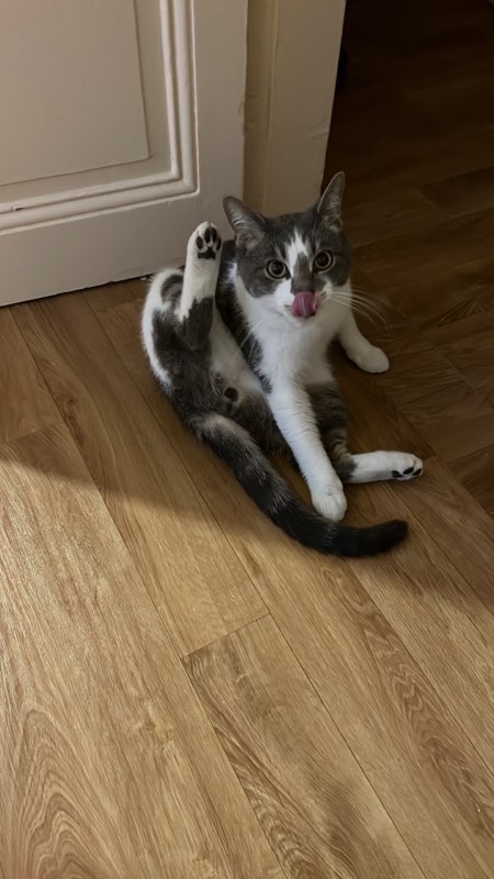 340086658_793395395455239_5316985757889199923_n