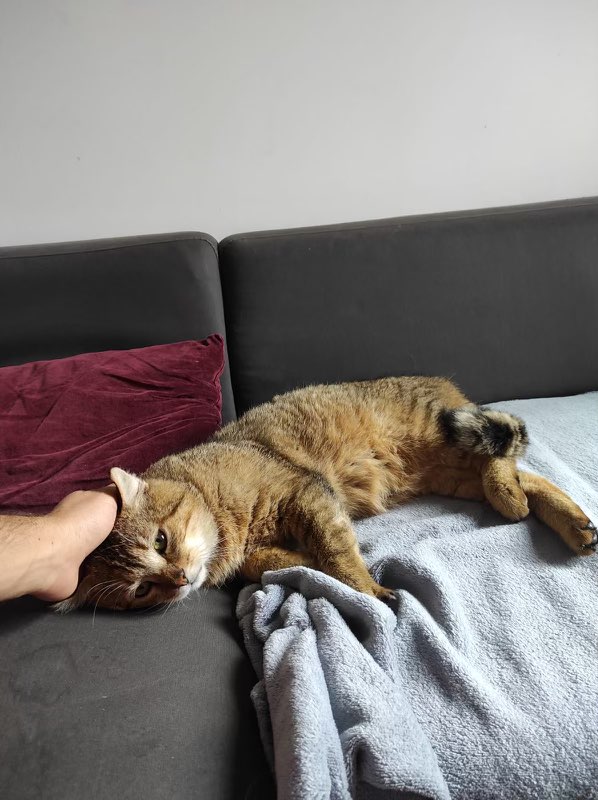 342812249_1004089353889401_6066708976099058500_n