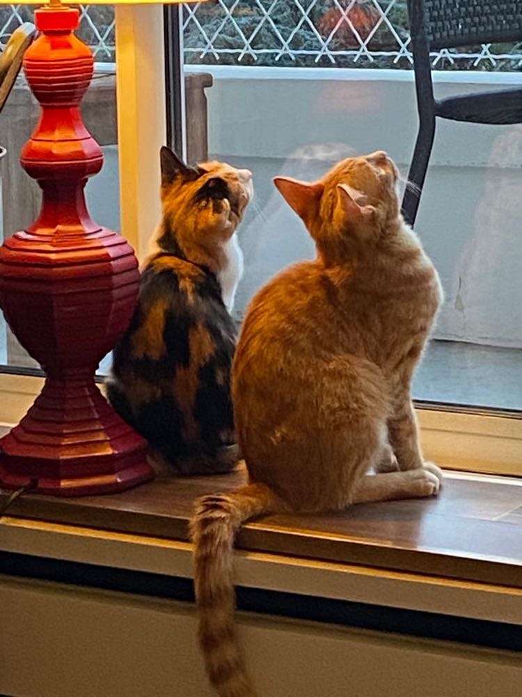 342824340_2769330843559712_3540969385690159393_n