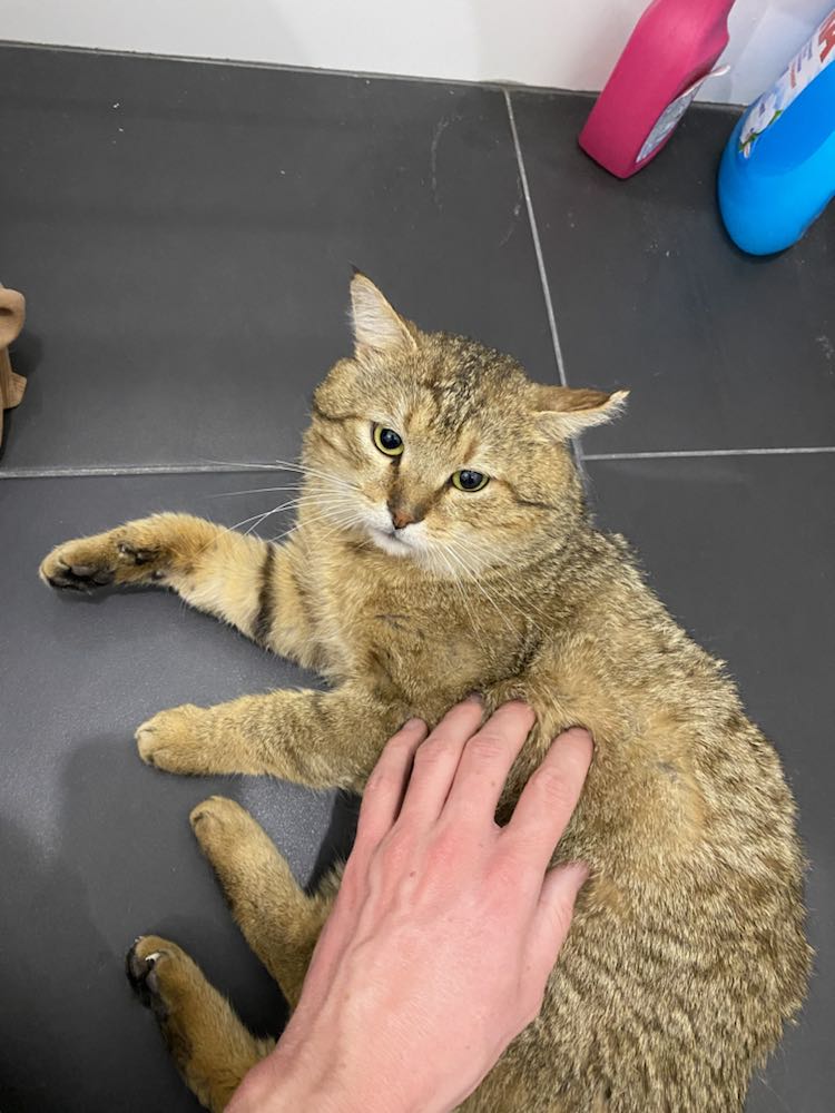 342853438_252532850467260_182490233077623041_n