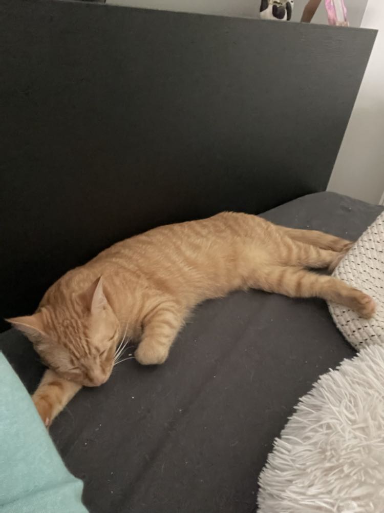 342880201_2570330126599322_9077540843686587238_n