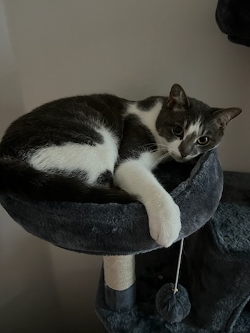 342887677_903627584047004_8543903952941777329_n