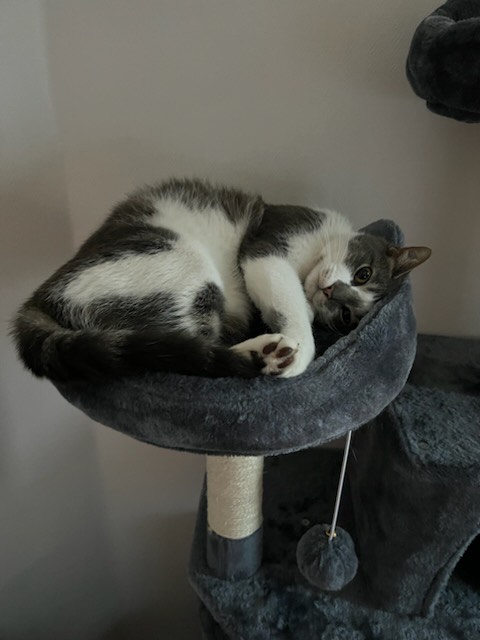 343013864_790032829129492_5127870748416653874_n