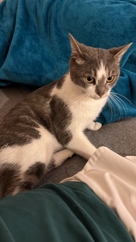 343056475_111871091890449_6084600077518676243_n