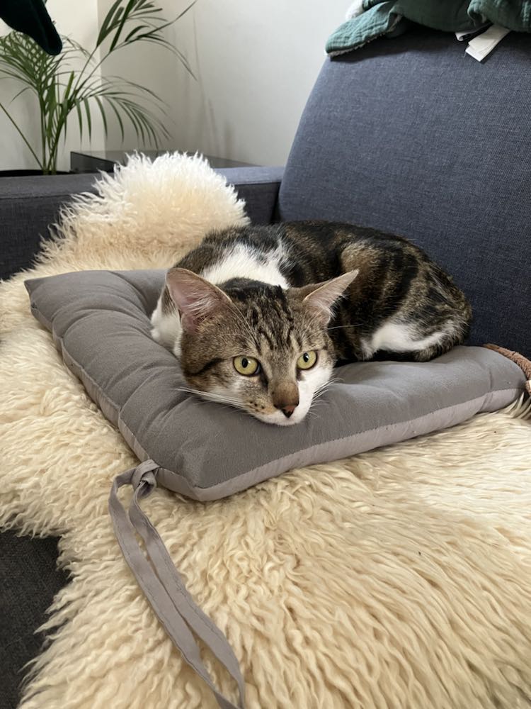 343077444_1309642636431691_8369056096723112383_n