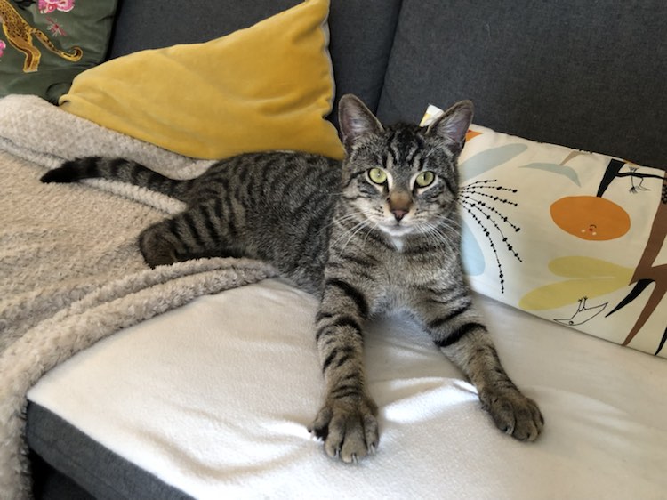 343090232_173710402292433_154940163309467777_n