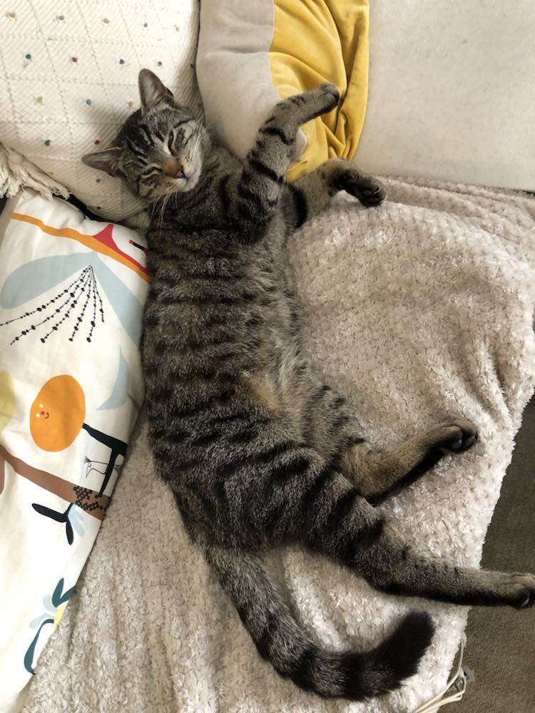 343153938_543957311237842_6460841170608705287_n