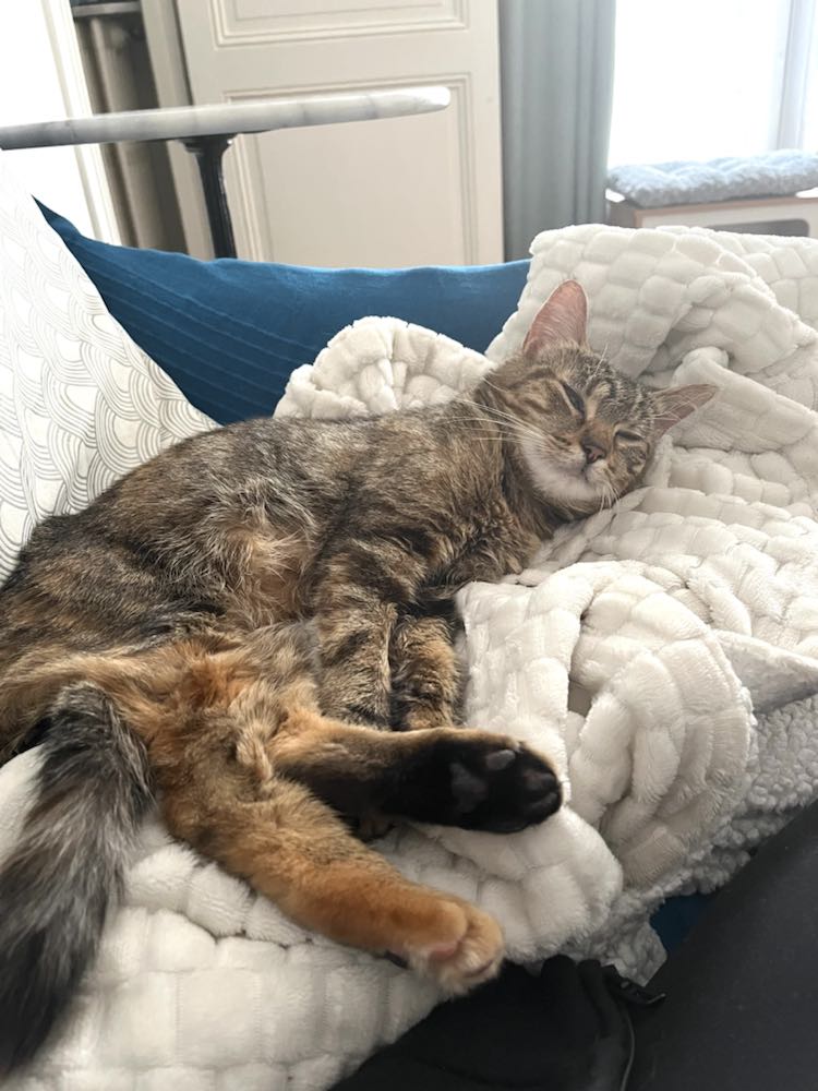 343272643_1723008408118359_5662258259514322339_n