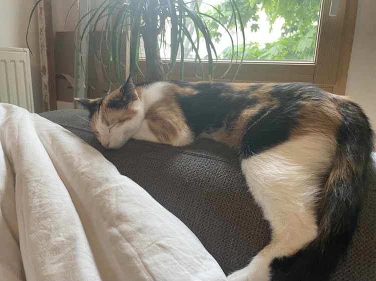 343283109_3474847762787271_3779277351430262084_n