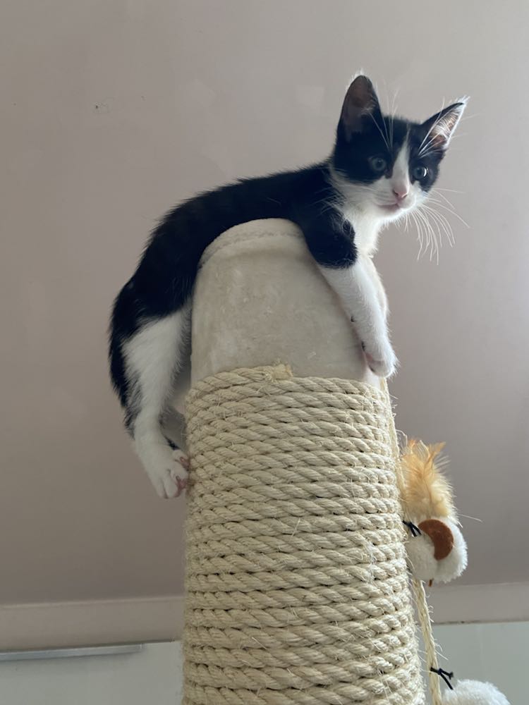 343316089_665399462109302_7891079056206498211_n