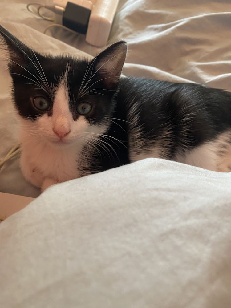 343356328_782351846774629_8348046635899067327_n