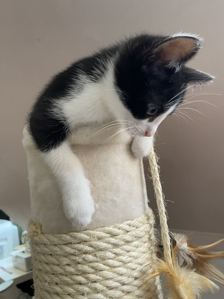 343402923_638343331526224_5383376878644789677_n