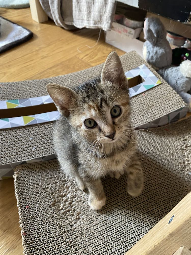 343434100_215156101279004_9005845785211103120_n