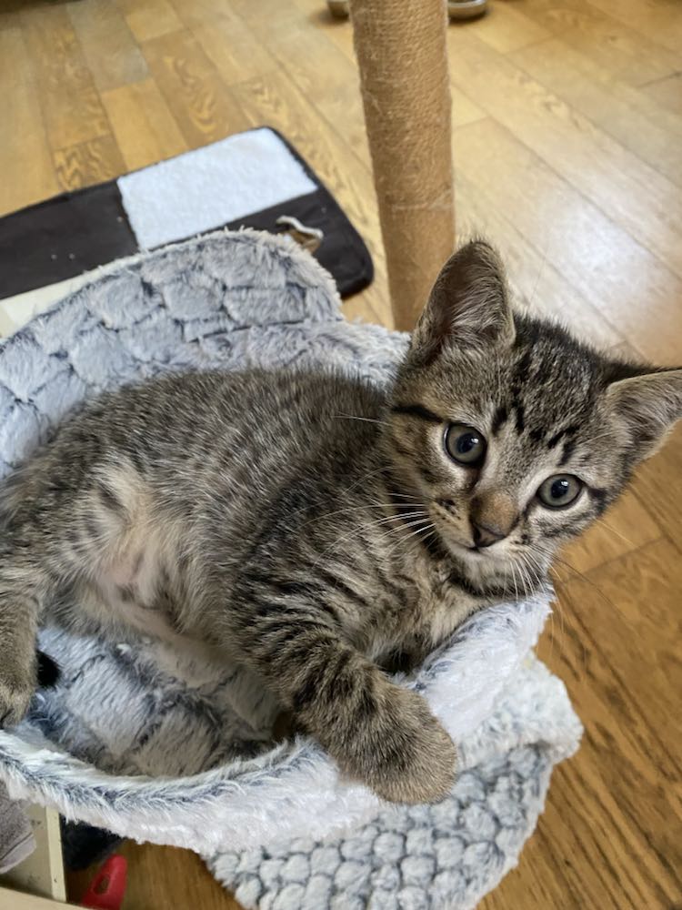 343449988_3613164138937304_7782766487988344797_n