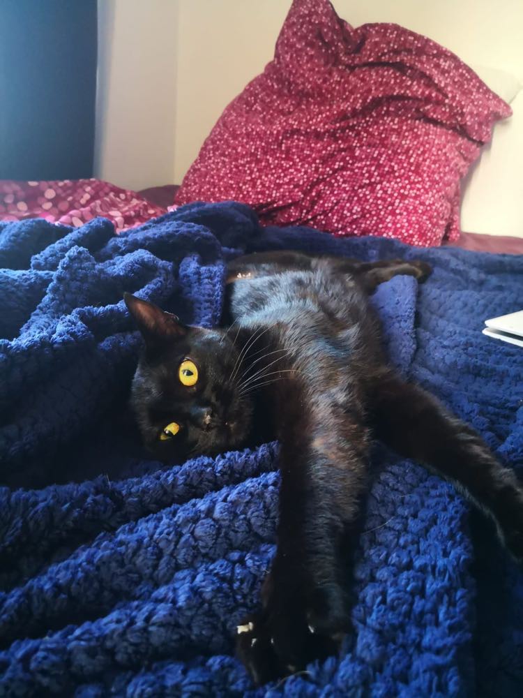 343513564_270806535405800_5921829813734687247_n