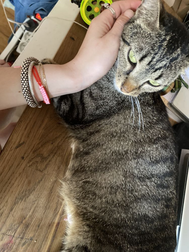 343556122_1592684421213342_2229948391305310970_n