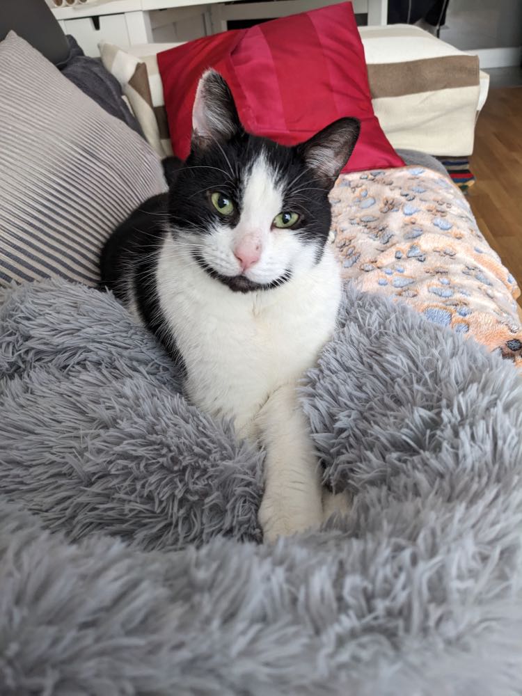 343574294_518772613634521_6029125846452448990_n