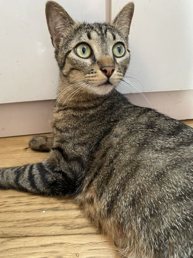 343590234_1231955294358477_5796775798057599896_n