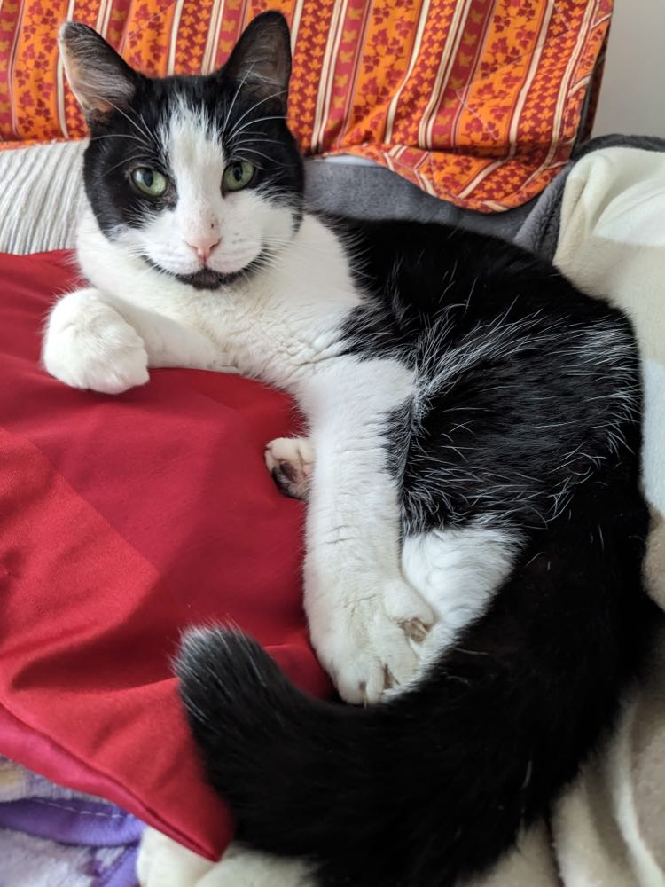 343596212_171408238914811_7581116314355487488_n