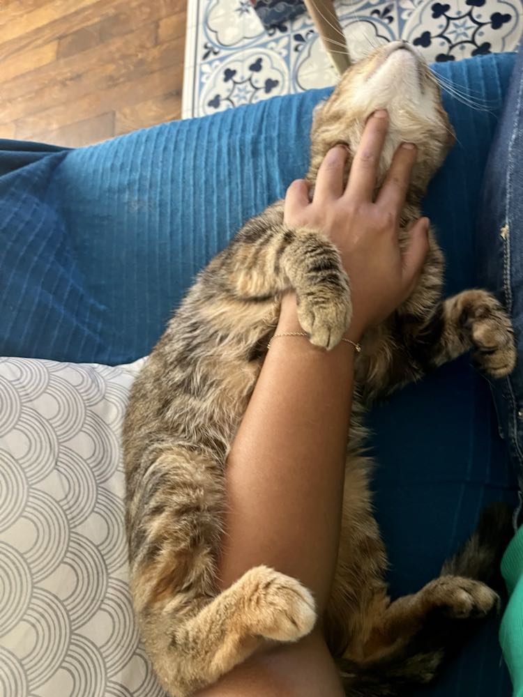 343605539_708383504421809_6974419962965657162_n