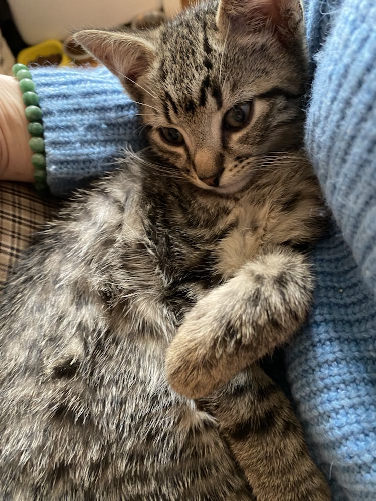 343605551_1696974074091408_525249734685134799_n