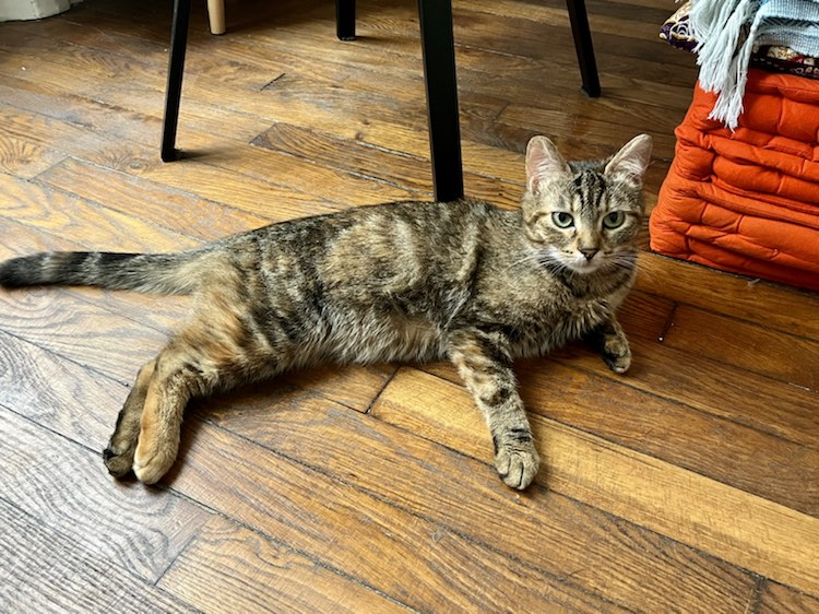 343633336_223118660459891_4361572405153981946_n