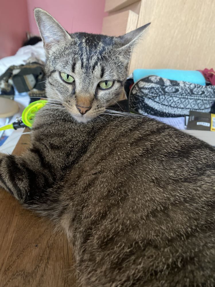 343643042_699341861877603_1126360630646887136_n