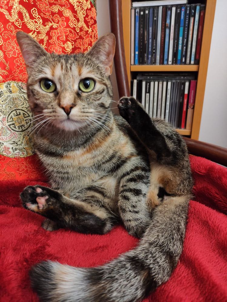 343662621_1420503688697521_2986197887325531937_n