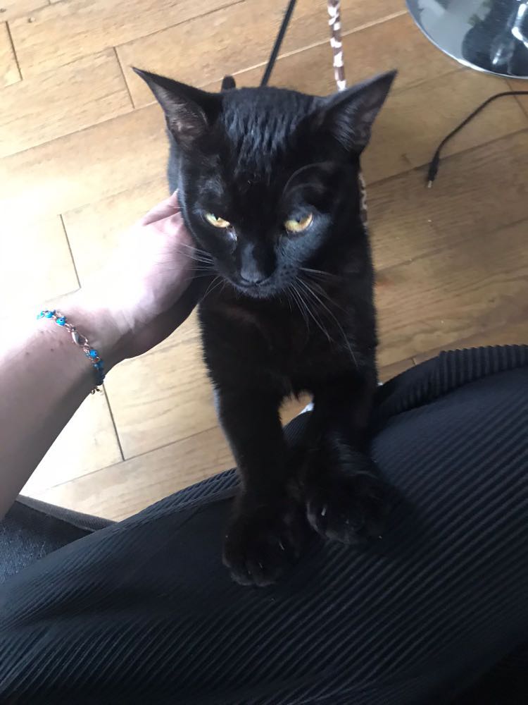 343719007_1178036426225524_5322505154598843426_n