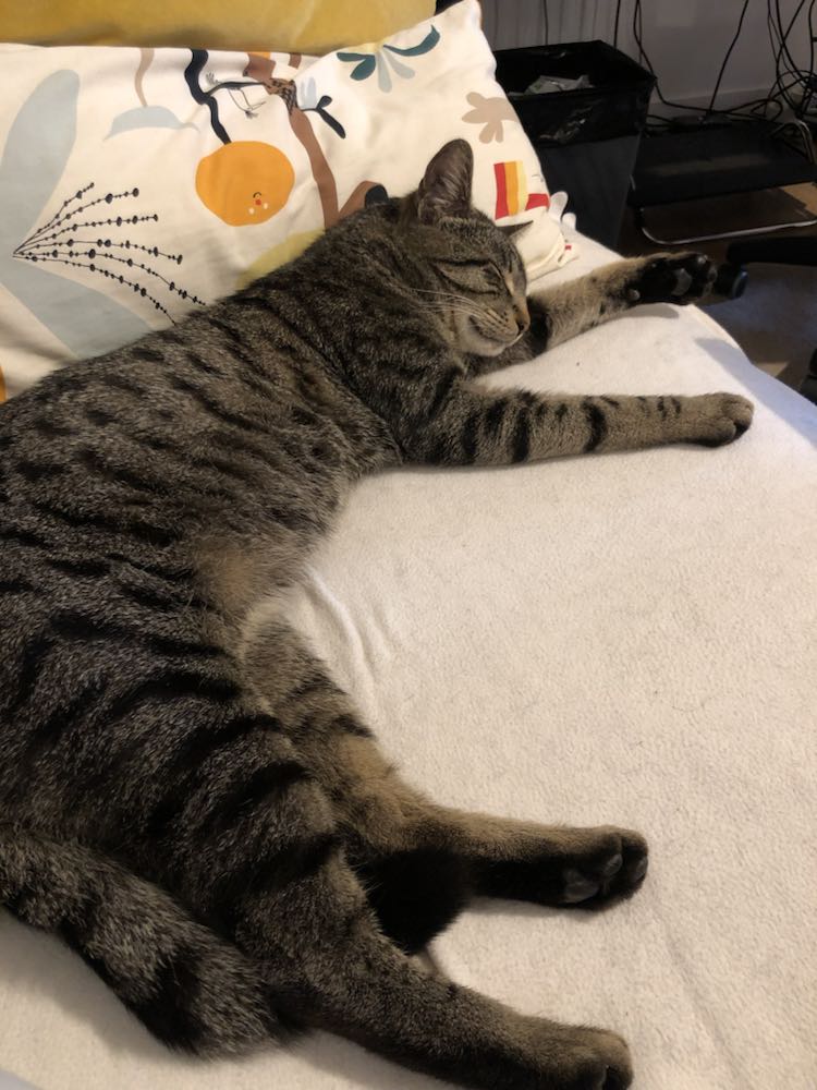 343725033_157565333939564_6418144181665069385_n